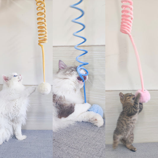 Interactive Cat Toy